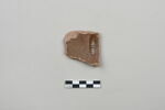 ostracon, image 2/3