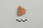 ostracon, image 1/3