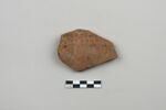 ostracon, image 1/3