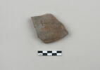 ostracon, image 1/3