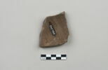 ostracon, image 2/3