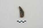ostracon, image 2/3