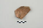 ostracon, image 2/4