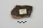 ostracon, image 2/4