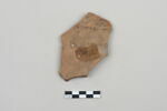 ostracon, image 1/3