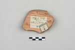 ostracon, image 2/4