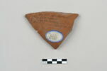 ostracon, image 1/3