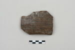 ostracon, image 1/4
