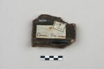 ostracon, image 2/4