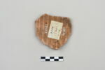 ostracon, image 2/4