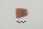 ostracon, image 2/4