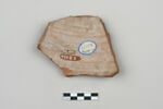 ostracon, image 2/3