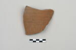 ostracon, image 1/3