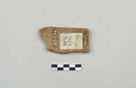 ostracon, image 2/4