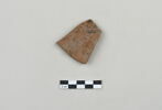 ostracon, image 1/3