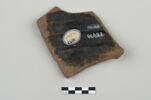 ostracon, image 2/3