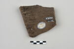 ostracon, image 2/3