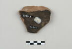 ostracon, image 2/3
