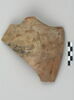 ostracon, image 1/3