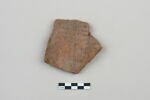 ostracon, image 1/3