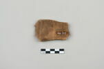 ostracon, image 2/4
