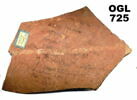 ostracon, image 1/3