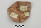 ostracon, image 2/4