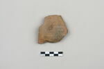 ostracon, image 1/4