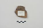 ostracon, image 2/4