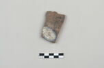 ostracon, image 1/3