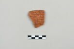 ostracon, image 1/4