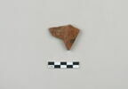 ostracon, image 1/3
