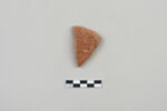 ostracon, image 1/3