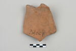 ostracon, image 1/3