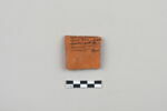 ostracon, image 1/3