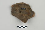 ostracon, image 2/4
