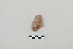 ostracon, image 2/3