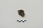 ostracon, image 2/3