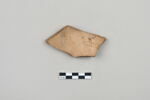 ostracon, image 2/3