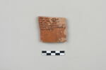 ostracon, image 1/3