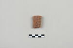 ostracon, image 1/3