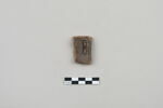 ostracon, image 2/3