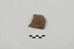 ostracon, image 1/3