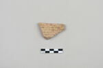 ostracon, image 1/3