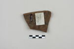 ostracon, image 2/3