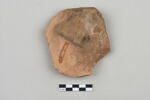 ostracon, image 2/3