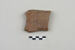 ostracon, image 2/3