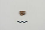 ostracon, image 2/3