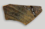 ostracon, image 2/5