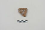 ostracon, image 1/3